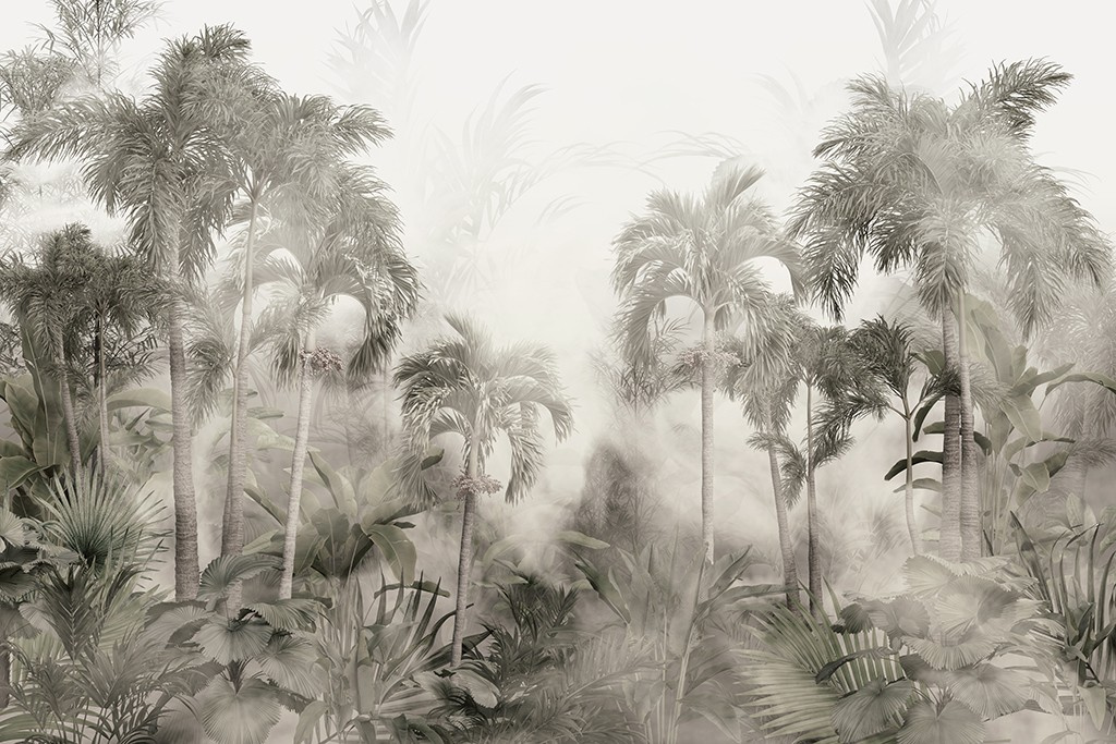 Фотообои тропический лес в тумане