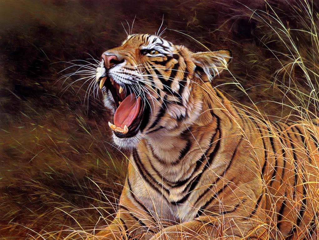 Фотообои Ревущий тигр